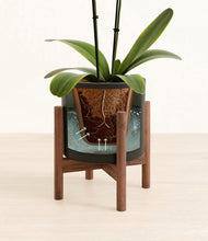 Load image into Gallery viewer, Black stand:walnut