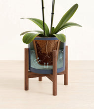 Load image into Gallery viewer, Deep Navy stand:walnut