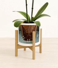 Load image into Gallery viewer, White stand:bamboo