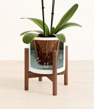 Load image into Gallery viewer, White stand:walnut