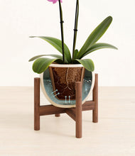 Load image into Gallery viewer, Shiny EggWhite stand:walnut