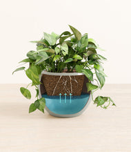 Load image into Gallery viewer, Deep Ocean