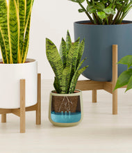 Load image into Gallery viewer, Earthy stand:three_stands