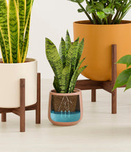 Load image into Gallery viewer, Evening Sky stand:three_stands