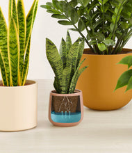 Load image into Gallery viewer, Evening Sky stand:all