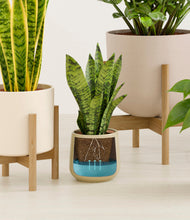 Load image into Gallery viewer, Sandy stand:three_stands