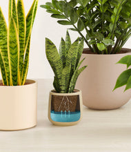 Load image into Gallery viewer, Sandy stand:all