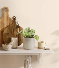 Load image into Gallery viewer, Cotton White stand:all