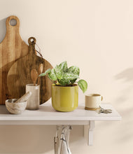 Load image into Gallery viewer, Key Lime Yellow