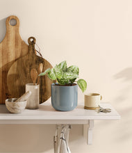 Load image into Gallery viewer, Misty Blue