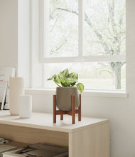 Load image into Gallery viewer, Olive stand:walnut