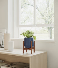 Load image into Gallery viewer, Deep Navy stand:walnut