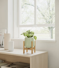 Load image into Gallery viewer, Turquoise stand:bamboo