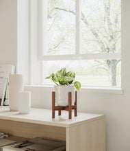 Load image into Gallery viewer, Hammered Ivory stand:walnut