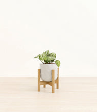 Load image into Gallery viewer, Hammered Ivory stand:bamboo