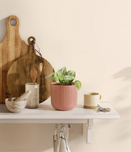 Load image into Gallery viewer, Striped Rose Pink