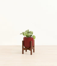Load image into Gallery viewer, Striped Cherry Red stand:walnut