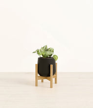 Load image into Gallery viewer, Black stand:bamboo