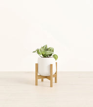 Load image into Gallery viewer, White stand:bamboo