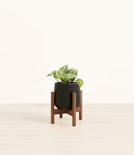 Load image into Gallery viewer, Black stand:walnut
