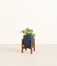 Load image into Gallery viewer, Deep Navy stand:walnut