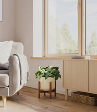 Load image into Gallery viewer, Almond Green stand:walnut