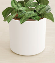 Charger l'image dans la galerie, White stand:all