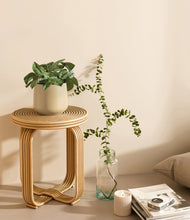 Load image into Gallery viewer, Almond Green