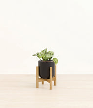 Load image into Gallery viewer, Stone Black stand:bamboo