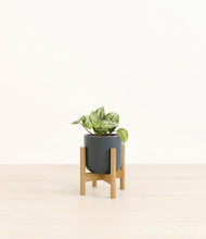 Load image into Gallery viewer, Iron Gray stand:bamboo