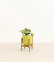Load image into Gallery viewer, Key Lime Yellow stand:bamboo