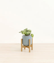 Load image into Gallery viewer, Misty Blue stand:bamboo