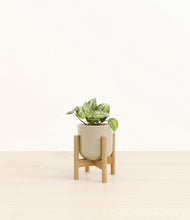 Load image into Gallery viewer, Sage Green stand:bamboo