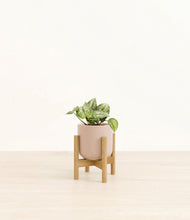 Load image into Gallery viewer, Sandy Pink stand:bamboo