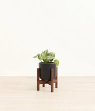 Load image into Gallery viewer, Stone Black stand:walnut