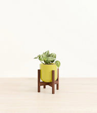 Load image into Gallery viewer, Key Lime Yellow stand:walnut