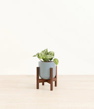 Load image into Gallery viewer, Misty Blue stand:walnut