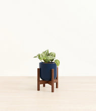 Load image into Gallery viewer, Twilight Blue stand:walnut