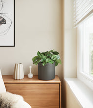 Charger l'image dans la galerie, Dark Olive