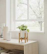 Load image into Gallery viewer, Cotton White stand:walnut