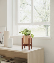 Load image into Gallery viewer, Glossy Pink stand:walnut