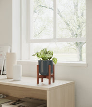 Load image into Gallery viewer, Iron Gray stand:walnut