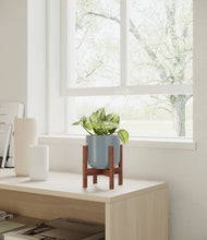 Load image into Gallery viewer, Misty Blue stand:walnut