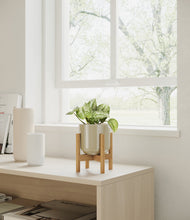 Load image into Gallery viewer, Sage Green stand:bamboo