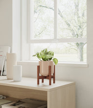 Load image into Gallery viewer, Glossy Pink stand:walnut