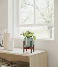 Load image into Gallery viewer, Reactive Aqua stand:walnut