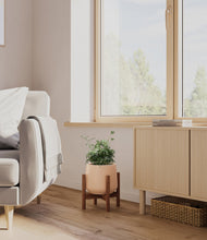Load image into Gallery viewer, Gentle Pink stand:walnut
