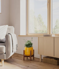 Load image into Gallery viewer, Mustard stand:walnut