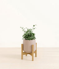 Load image into Gallery viewer, Eternal Gray stand:bamboo