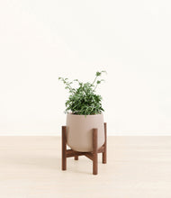 Load image into Gallery viewer, Eternal Gray stand:walnut